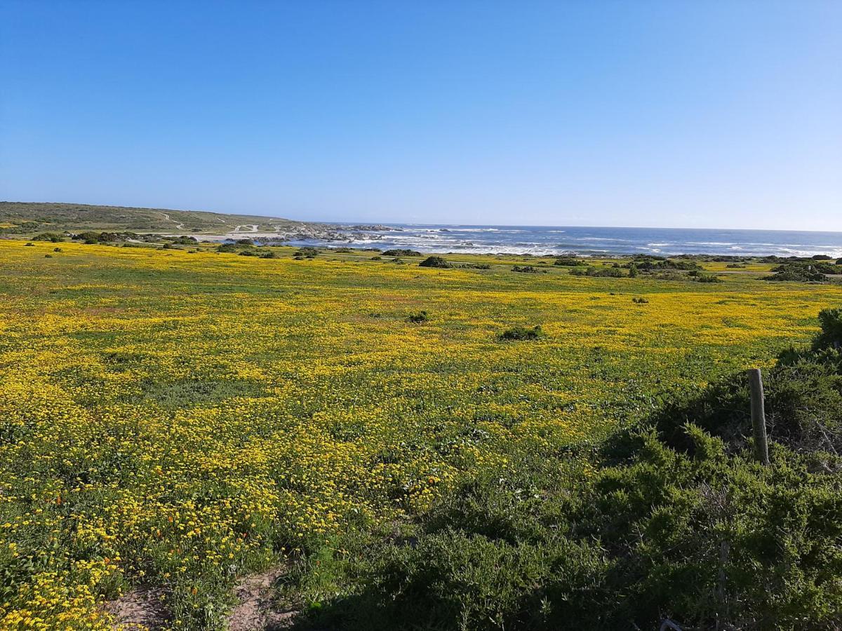 Milk Thistle Loft & Studio Apartments Paternoster Exterior foto